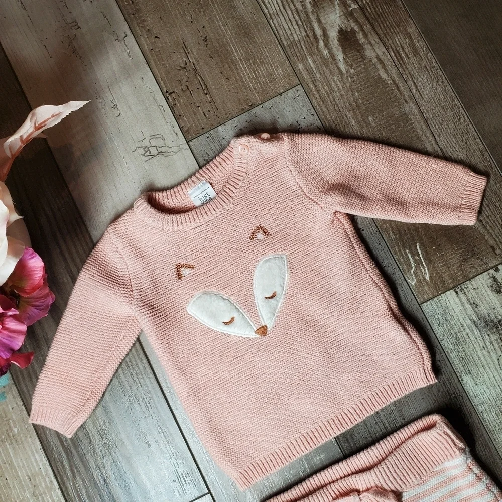 Carter's Matching Pink and White Fox 2 Pc Set Striped Pants 3 Months 3M NWOT
